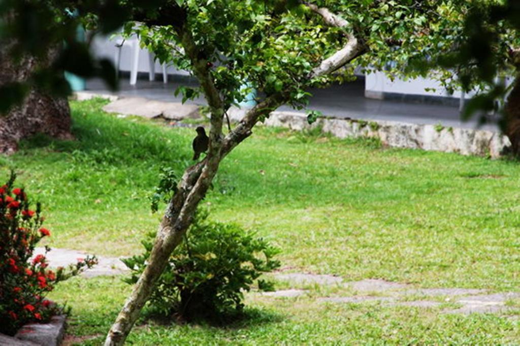 Pousada Sitio Paraiso Itacaré Exteriér fotografie