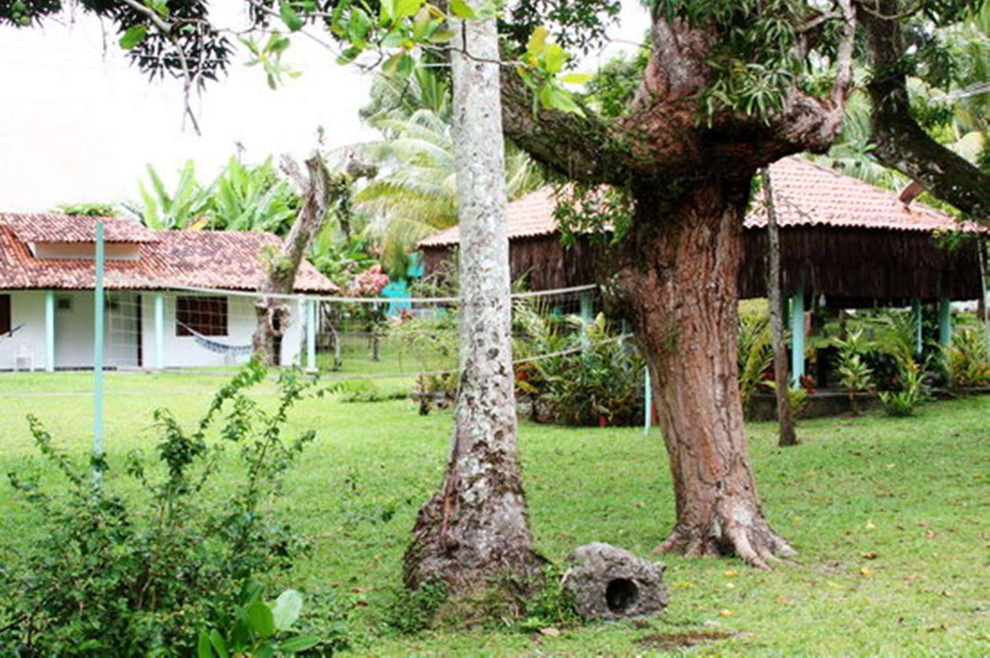 Pousada Sitio Paraiso Itacaré Exteriér fotografie